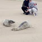 Au Petit Wissant بيت للعطل