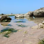 Au Petit Wissant *