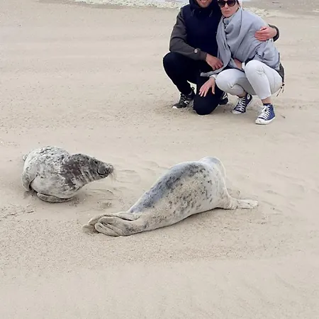 Au Petit Wissant بيت للعطل