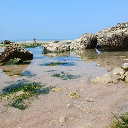 Au Petit Wissant *