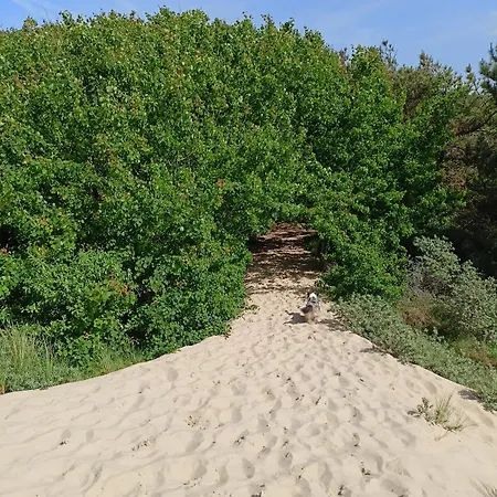 Au Petit Wissant Holiday home